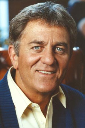 Don Meredith Poster
