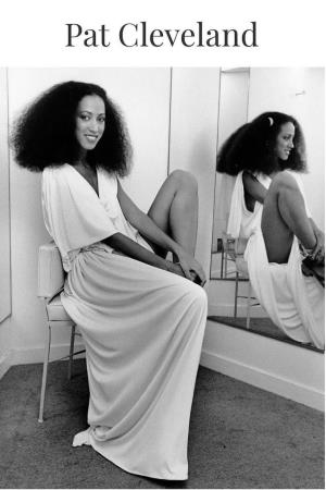 Pat Cleveland's poster