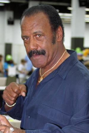 Fred Williamson Poster