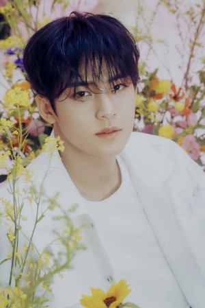 Mingyu's poster