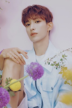 DK's poster