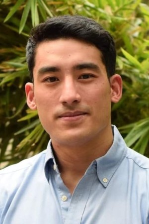 Julian Roxas's poster