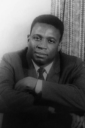 Julian Mayfield's poster