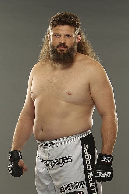 Roy Nelson's poster