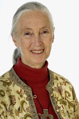 Jane Goodall Poster