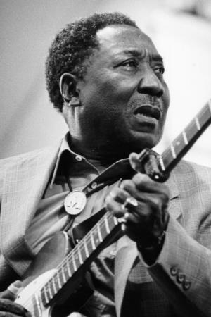 Muddy Waters's poster