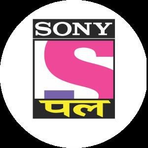 Sony Pal logo