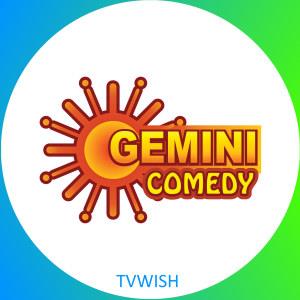 Gemini Comedy logo