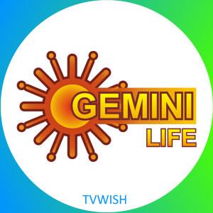 Gemini Life logo