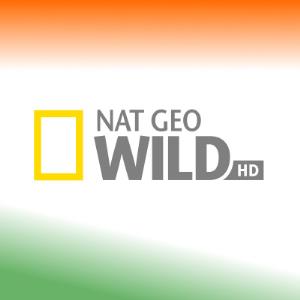 Nat Geo Wild HD logo