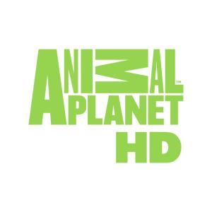 Animal Planet HD logo