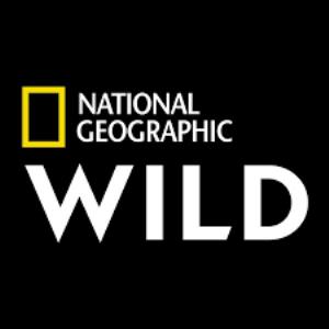 Nat Geo Wild logo