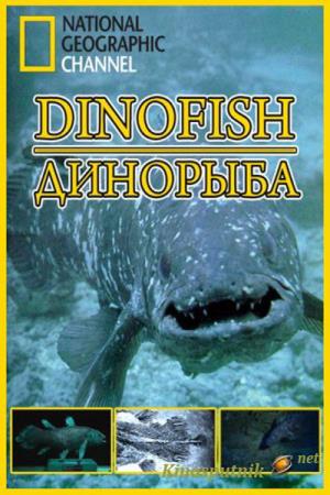 Dinofish's Poster