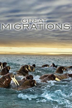 Great Migrations's Poster