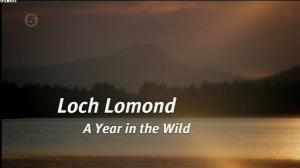 A Year In The Wild's Poster