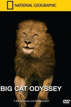 Big Cat Odyssey's Poster