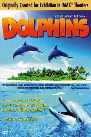 Dolphins's Poster