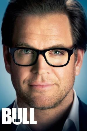 Bull's Poster