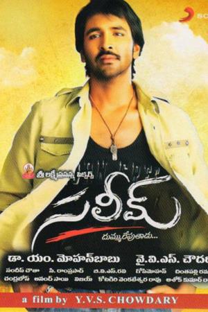 The Fighterman Saleem's Poster