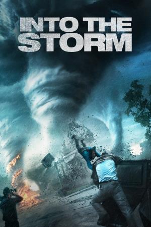 Into The Storm's Poster