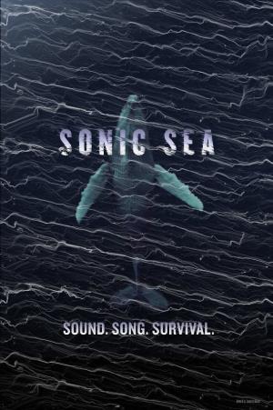 Sonic Sea's Poster