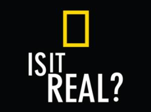 Is It Real?'s Poster
