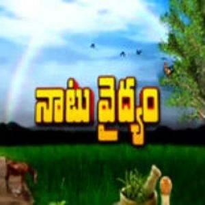 Naatu Vaidhyam's Poster