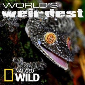 World's Weirdest's Poster