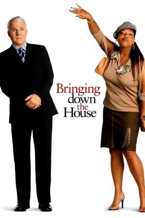 Bringing Down the House's Poster