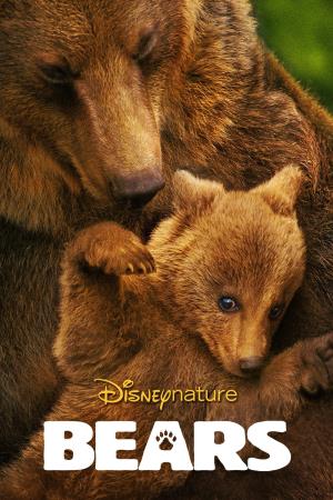 Bears's Poster