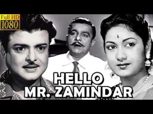 Hello Mister Zamindar's Poster
