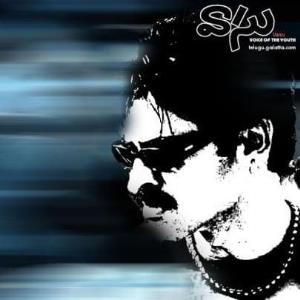 Cheetah The Leopard's Poster