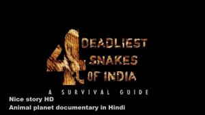 Deadliest Snakes Of South Africa's Poster