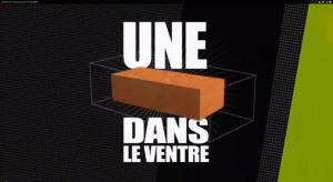Une Brique Dans Le Ventre's Poster