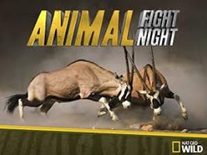 Animal Fight Night's Poster