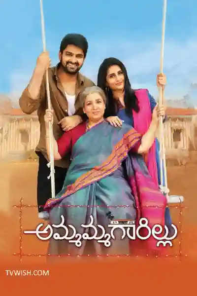 Naani Maa's Poster