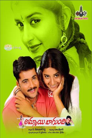 Ammayi Bagundi's Poster