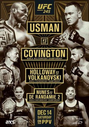 UFC 245's Poster