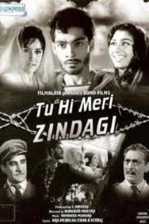 Tu Hi Meri Zindagi's Poster