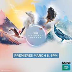 A Perfect Planet's Poster