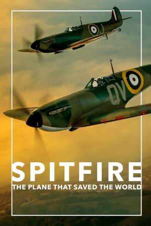 Documentary Feature's Poster