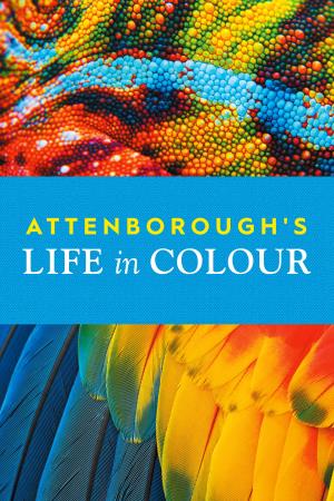 Attenborough's Life in Colour's Poster