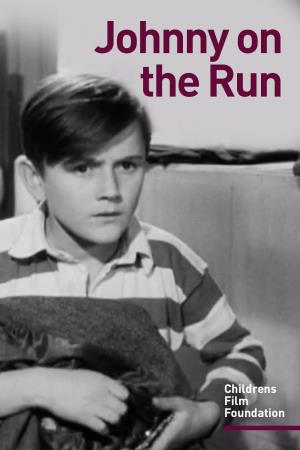 Johnny on the Run's Poster