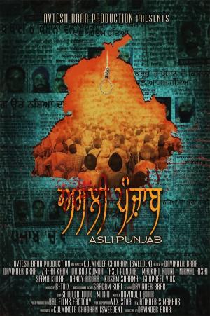 Asli Punjab's Poster