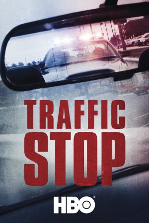 Traffic Stop's Poster