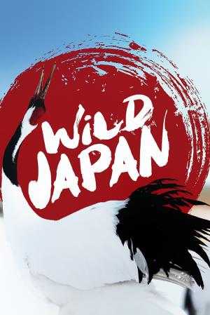 Japan: Earth's Enchanted Islands's Poster