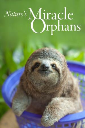 Nature's Miracle Orphans's Poster