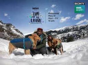 Life Off The Leash's Poster