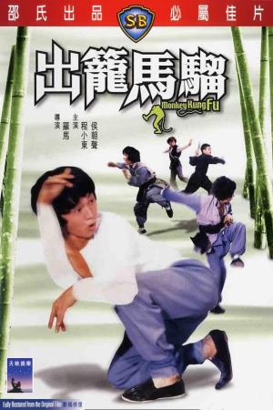Monkey Kung Fu's Poster