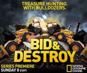 Bid & Destroy's Poster